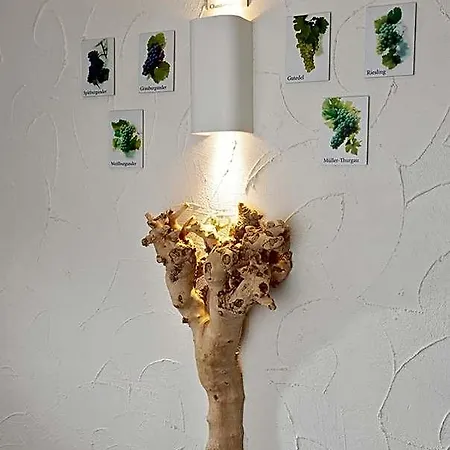 متنزه بوست