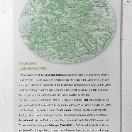 파크 포스트 호텔 프라이부르크 임 브리스가우