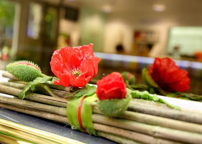 Park Post מלון פרייבורג